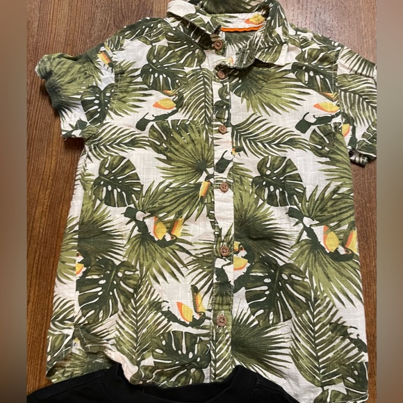 Four Shirts - Picture 5 of 10